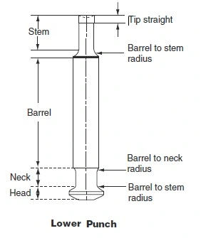 Tablet Tooling Punch set