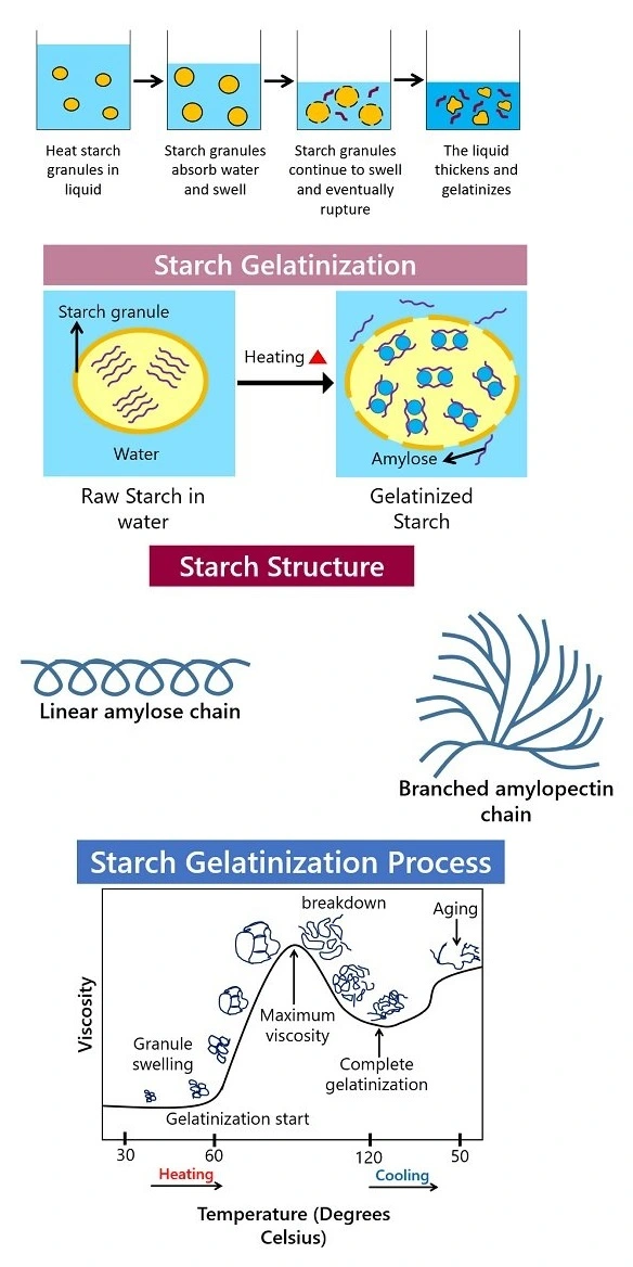 stages-in-making-pregelatinized starch