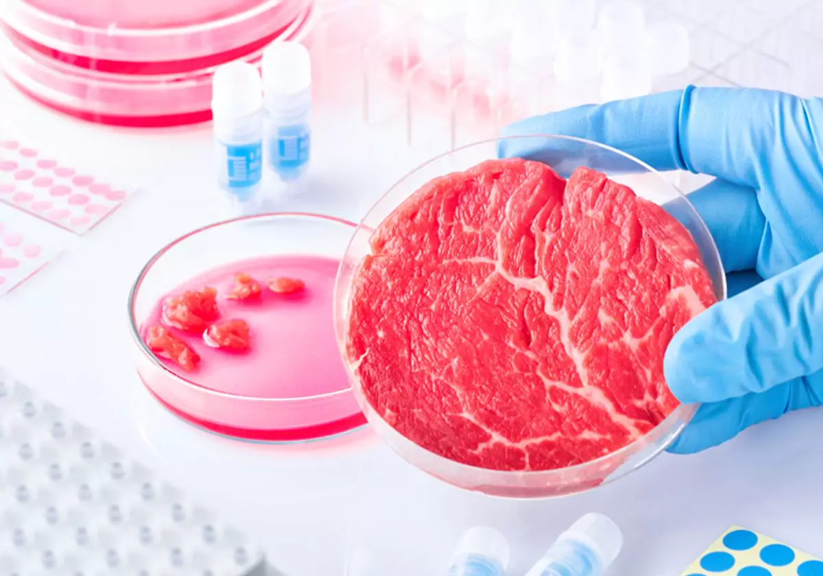 Cell-cultivated Lab-Grown meat
